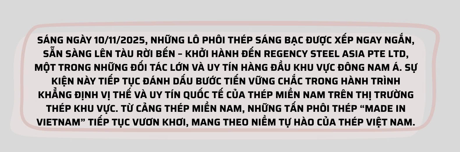 hop-tac-quoc-te---buoc-di-vung-chac-cua-thep-mien-nam_6912eeff9d172