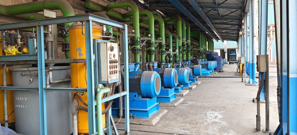 thep-mien-nam-tham-gia-giai-chay-gio-trai-dat--khi-moi-buoc-chay-la-mot-thong-diep-tiet-kiem-nang-luong_69c365212a2db