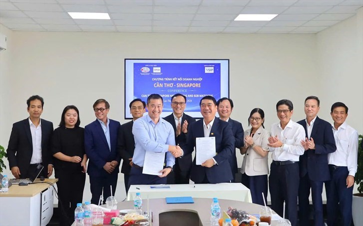 SSCV Continues to Expand International Cooperation, Driving Vietnamese Steel Further into Global Markets